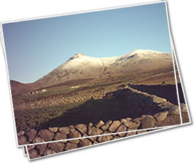 Thomas Rooney and sons Ltd are based at the foot of Slieve Binnian in the heart of the Mourne Mountains.