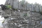 Before Photo of Stone Wall Downpatrick Hospital